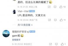 英(yīng)雄(xióng)联盟(méng)S15世界(jiè)賽(sài)晋级分析，十二(èr)支(zhī)确定(dìng)名额，只有LPL打冒泡賽(sài)