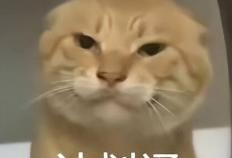 拳頭(tóu)腾讯力(lì)排衆(zhòng)议推出的全新操作模(mó)式，真能拯救LOL吗？