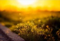 英(yīng)雄联盟(méng)全球(qiú)总決(jué)賽(sài)冠亚军決(jué)賽(sài)四川打響(xiǎng)