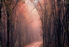 孙颖莎为何晋级，赛後(hòu)采访说出原因(yīn)，早田希娜(nà)偷師(shī)王(wáng)曼昱