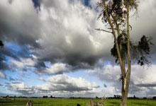 温瑞博(bó)采访，为什么哭了？赛后采访体现高情商，国乒2人(rén)出(chū)線(xiàn)决赛