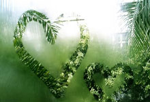 孙颖莎为何晋级，赛後(hòu)采访说出原因(yīn)，早田希娜(nà)偷師(shī)王(wáng)曼昱