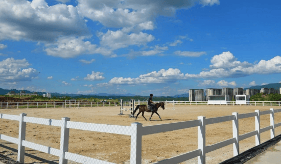 兩(liǎng)江国际马术賽(sài)事中心(xīn)正式开館(guǎn)