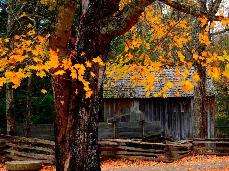 英(yīng)雄联盟(méng)全球(qiú)总決(jué)賽(sài)冠亚军決(jué)賽(sài)四川打響(xiǎng)