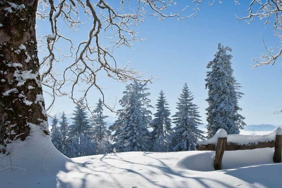 中国电競(jìng)战队EDG夺得全球总决赛冠军