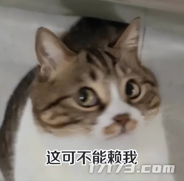 拳頭(tóu)腾讯力(lì)排衆(zhòng)议推出的全新操作模(mó)式，真能拯救LOL吗？